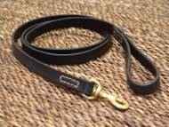 labrador leash