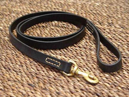 Labrador leash