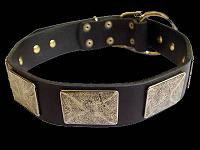 Labrador leather dog collar