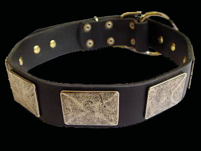 Gorgeous War Dog Leather Dog Collar 