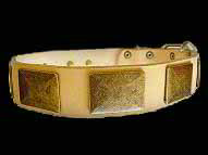 Labrador leather dog collar