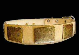 Labrador War Dog Leather Dog Collar - Like in the movies