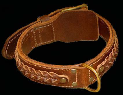 Labrador collar