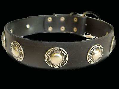 Gorgeous War Dog Leather Dog Collar - Like in the movies