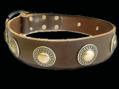 Gorgeous War Dog Leather Dog Collar - Like in the movies