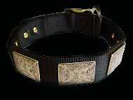 nylon dog collar