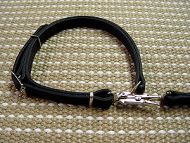 Leather dog leash and collar