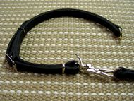Leather dog leash and collar