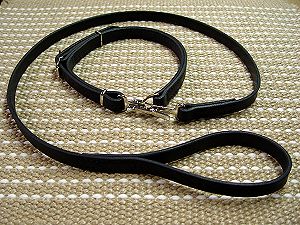 Police dog leash and collar (combo) for Boxer