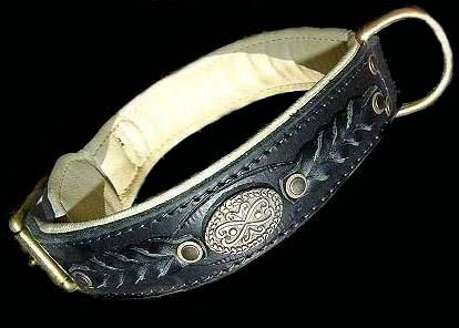 Labrador collar