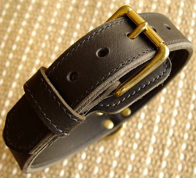 Nylon dog collar