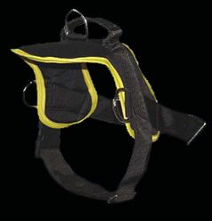 Labrador Nylon harness