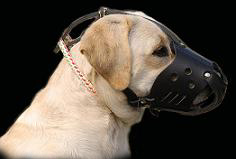 Labrador leather muzzle